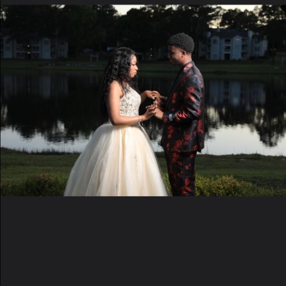 Prom dress Cinderella ball gown